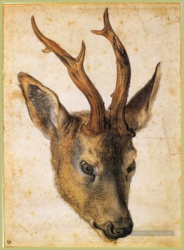 cerf Tableau Peinture - Tête d’un cerf Albrecht Dürer